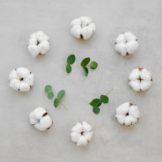 The Tale of GOTS-Certified Cotton